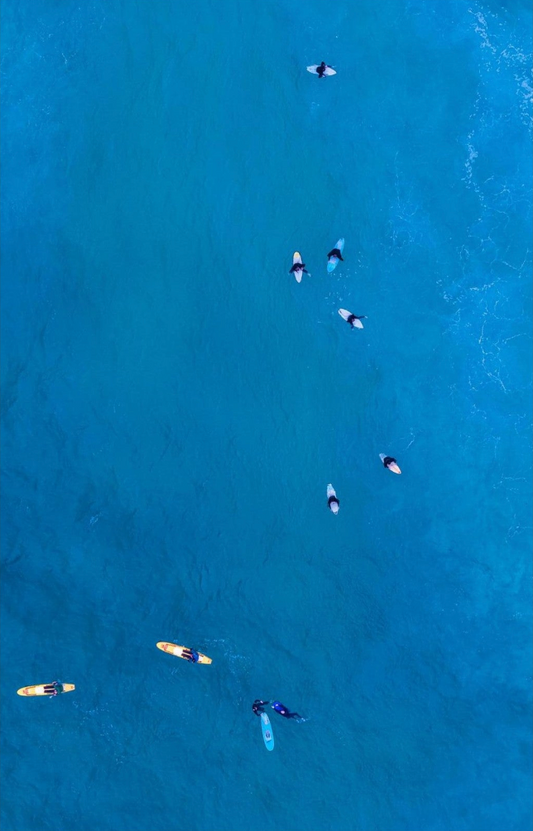 Aerial view of Surfers In coastal wall art print